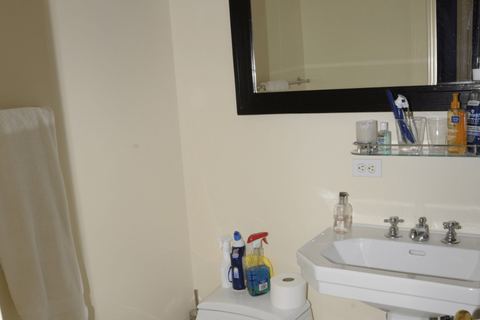 Bathroom cleaning and fixtures
